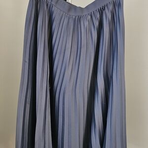 Elegant Blue Pleated Skirt